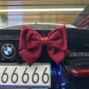 Car Bow