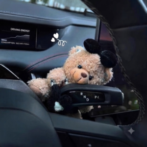 Car Dashboard Taddy